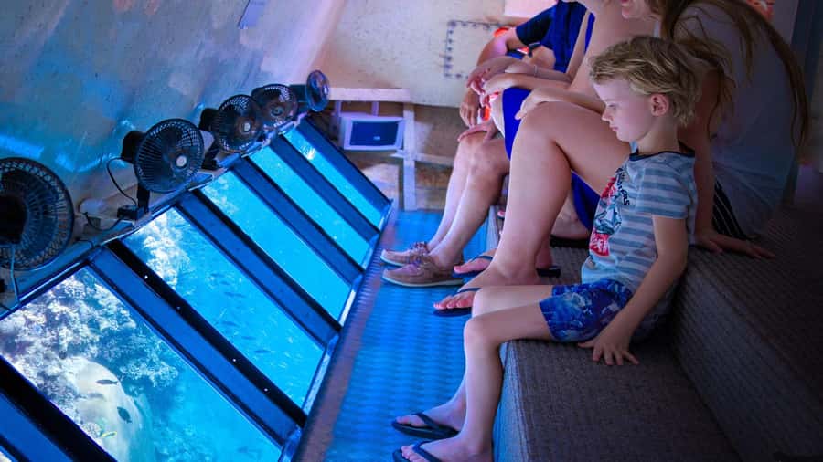 Cairns: Frankland Islands Great Barrier Reef Tour - The short crossing to Normanby Island