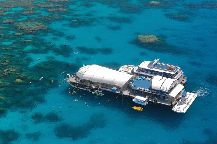 Cairns: Full Day Great Barrier Reef Pontoon Experience - Snorkeling for beginners and confident swimmers