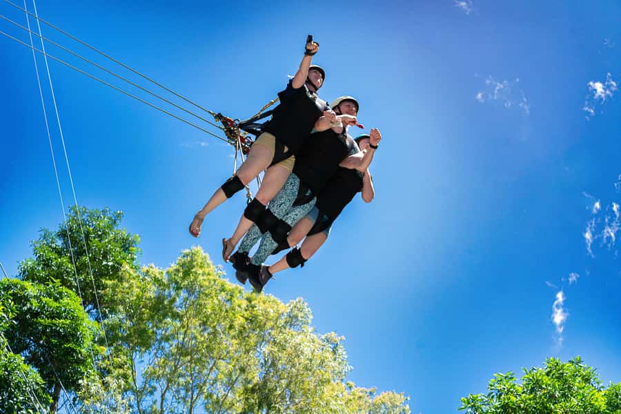 Cairns: Giant Swing - From the launch point to the rainforest canopy