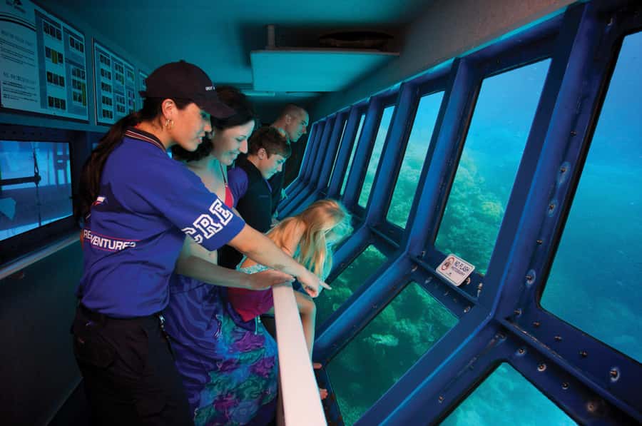 Cairns: Great Barrier Reef Cruise & 10 Minute Helicopter - How the timing affects your choices