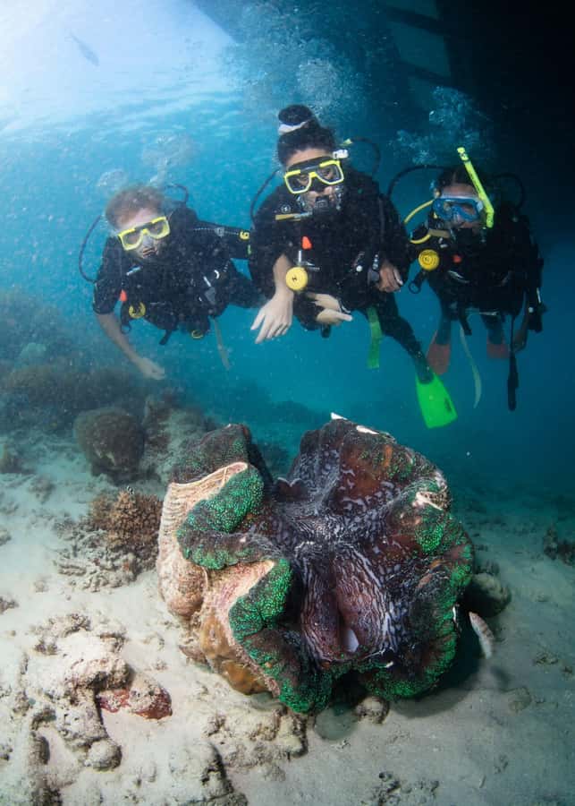 Cairns: Great Barrier Reef Cruise & 10 Minute Helicopter - Who should book this reef cruise?