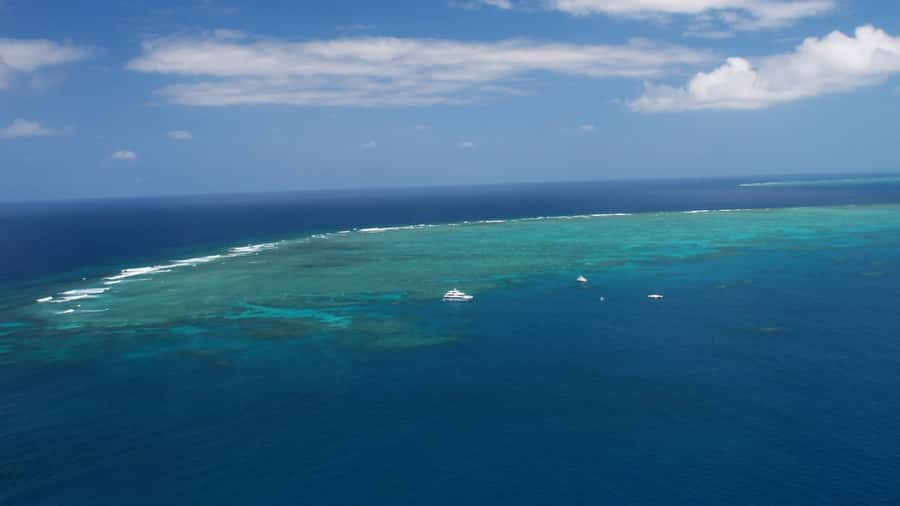 Cairns: Great Barrier Reef Cruise & Scenic Helicopter Flight - A BBQ lunch that earns its place in the day