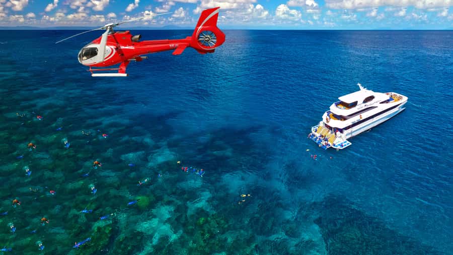 Cairns: Great Barrier Reef Cruise & Scenic Helicopter Flight - Who should book this tour?