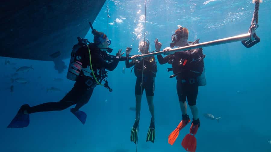 Cairns: Great Barrier Reef Full-Day Tour - Practical preparation for the 8-hour day