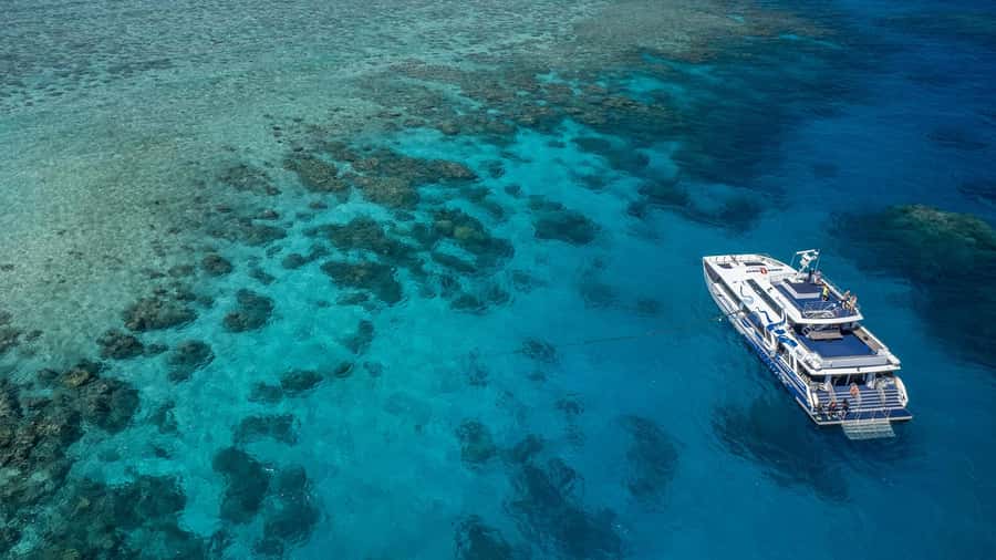 Cairns: Great Barrier Reef Full-Day Tour - Guided snorkeling for confident and nervous swimmers