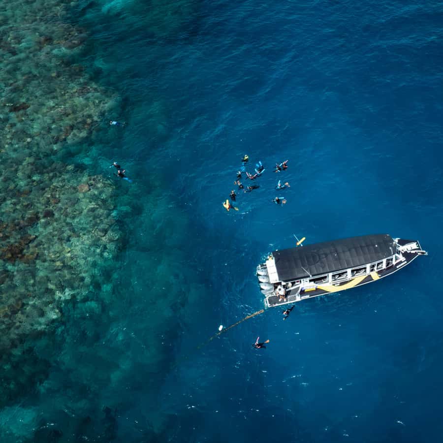 Cairns: Great Barrier Reef Half-Day Snorkelling Tour - Choosing between two reef moorings