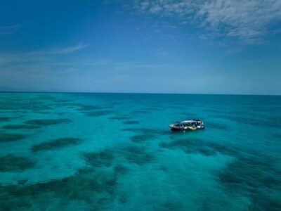 Great Barrier Reef Half-Day Snorkelling Tour