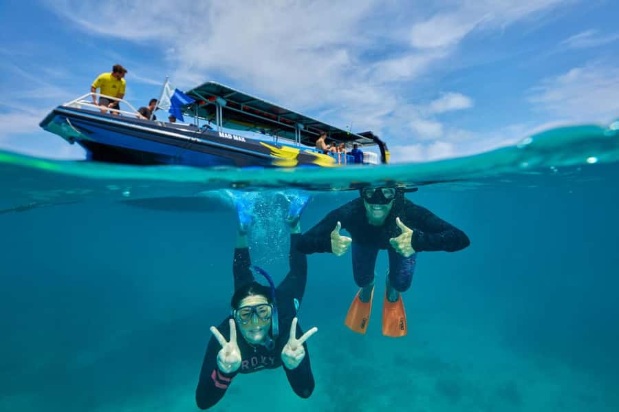 Cairns: Great Barrier Reef Half-Day Snorkelling Tour - What the guided snorkeling feels like