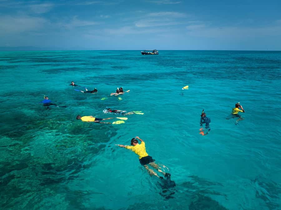 Cairns: Great Barrier Reef Half-Day Snorkelling Tour - Final call: book it if you want focused reef time