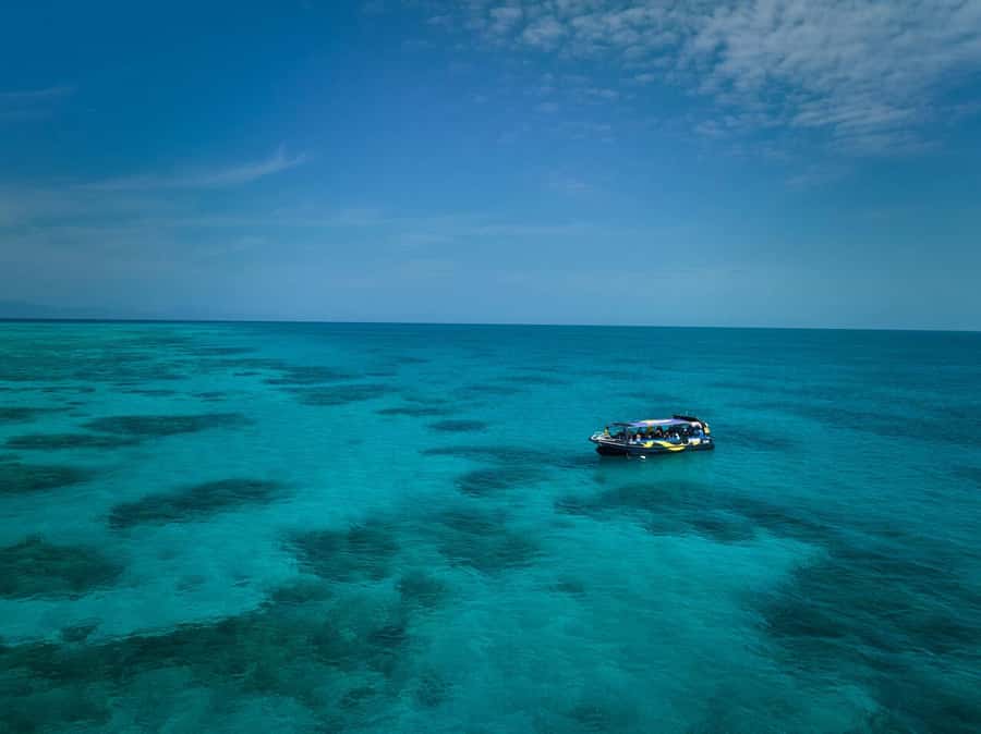Cairns: Great Barrier Reef Half-Day Snorkelling Tour - A small group with room for real help