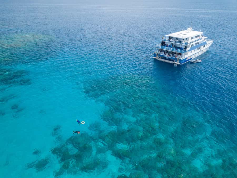 Cairns: Great Barrier Reef Overnight Snorkeling Boat Trip - Saxon, Norman, and Hastings reefs