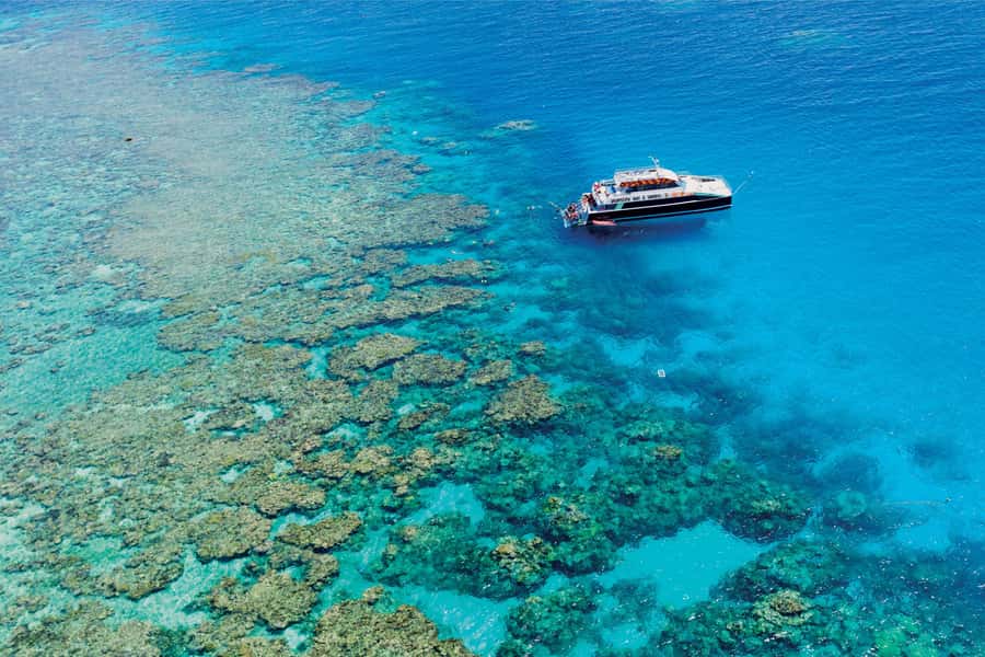 Cairns: Great Barrier Reef Premium Diving Full Day Tour - Key points at a glance