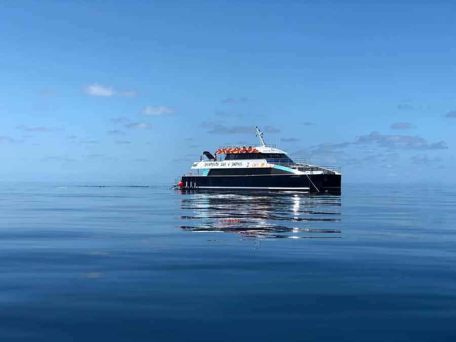 Cairns: Great Barrier Reef Premium Diving Full Day Tour - Two outer reef sites make the day feel worthwhile