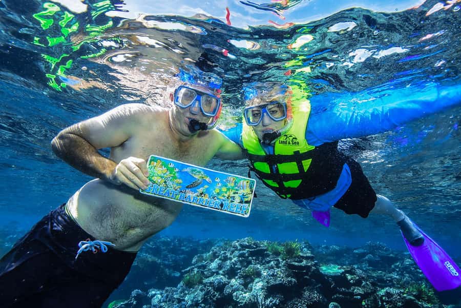Cairns: Great Barrier Reef Premium Diving Full Day Tour - Lunch, tea, and the practical rhythm of the boat