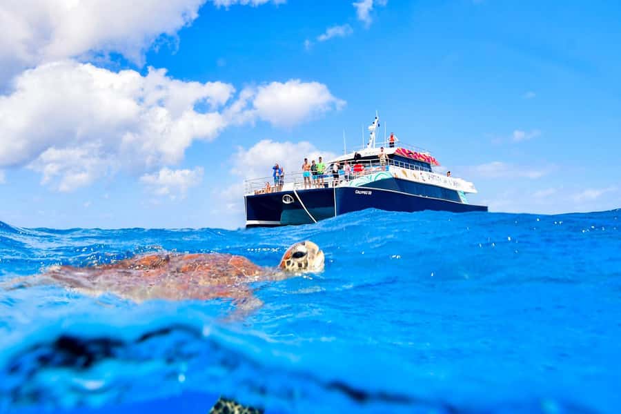 Cairns: Great Barrier Reef Premium Diving Full Day Tour - Who will get the most from this Cairns reef cruise