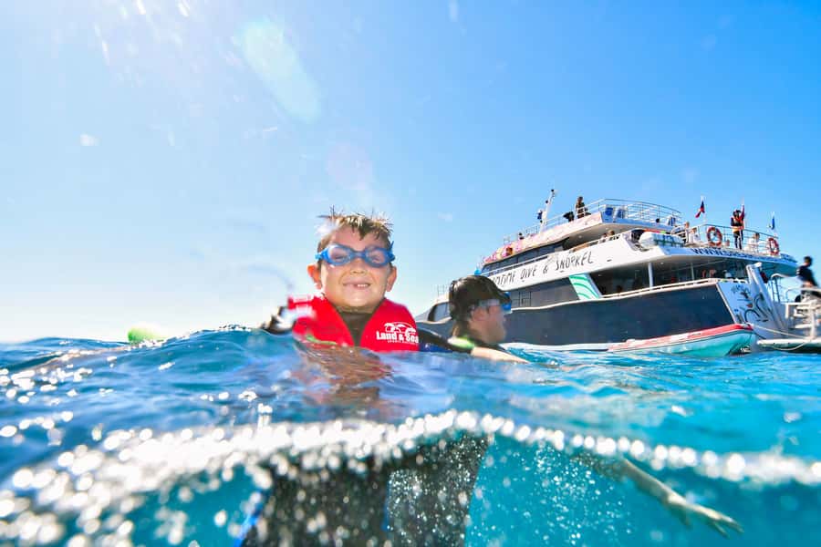 Cairns: Great Barrier Reef Premium Diving Full Day Tour - Should you book it?