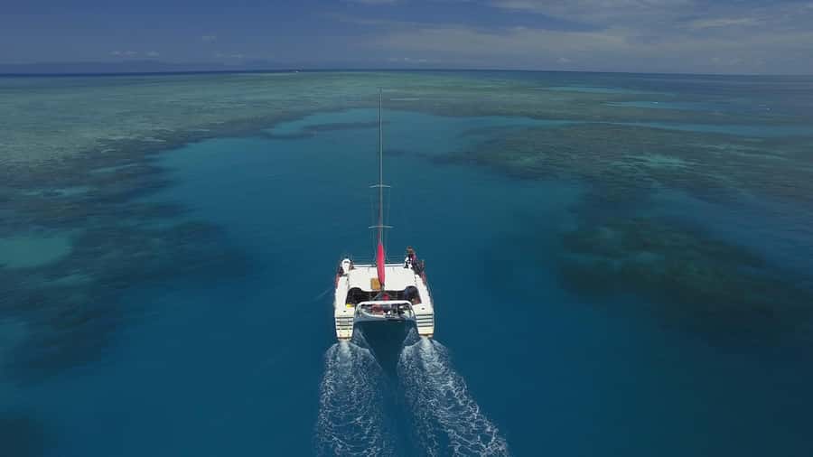 Cairns: Great Barrier Reef Snorkeling Tour with Lunch - The 7:30am check-in at Cairns Marlin Marina