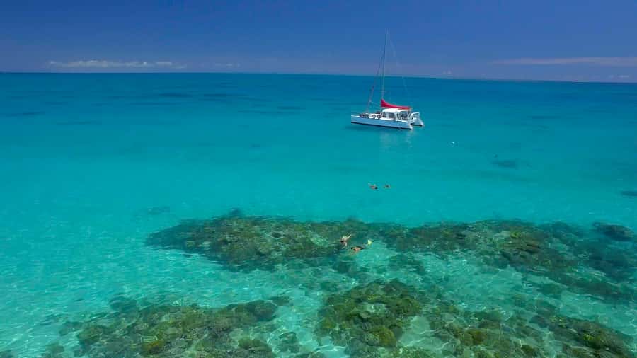 Cairns: Great Barrier Reef Snorkeling Tour with Lunch - Your first look at Upolu Reef