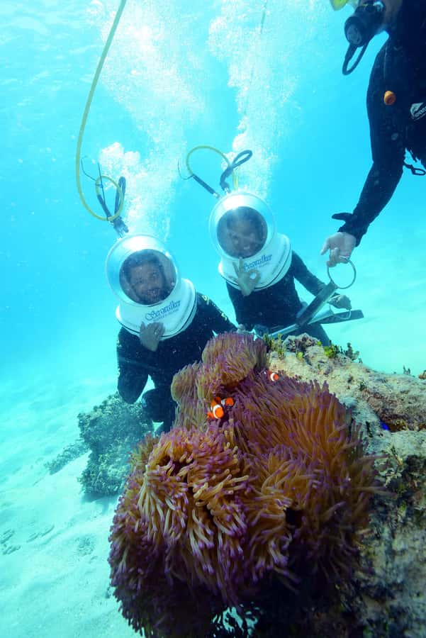 Cairns: Green Island and Seawalker Helmet Dive Combo - The unusual appeal of Green Island’s Seawalker