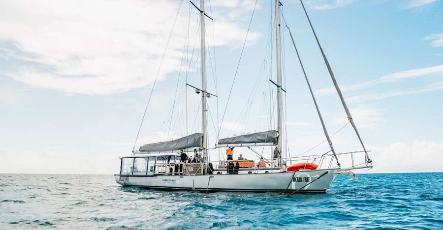 Cairns: Green Island & Great Barrier Reef Sailing Tour - Lunch that feels like a proper meal