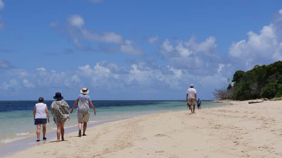 Cairns: Green Island & Great Barrier Reef Sailing Tour - The afternoon return to Cairns