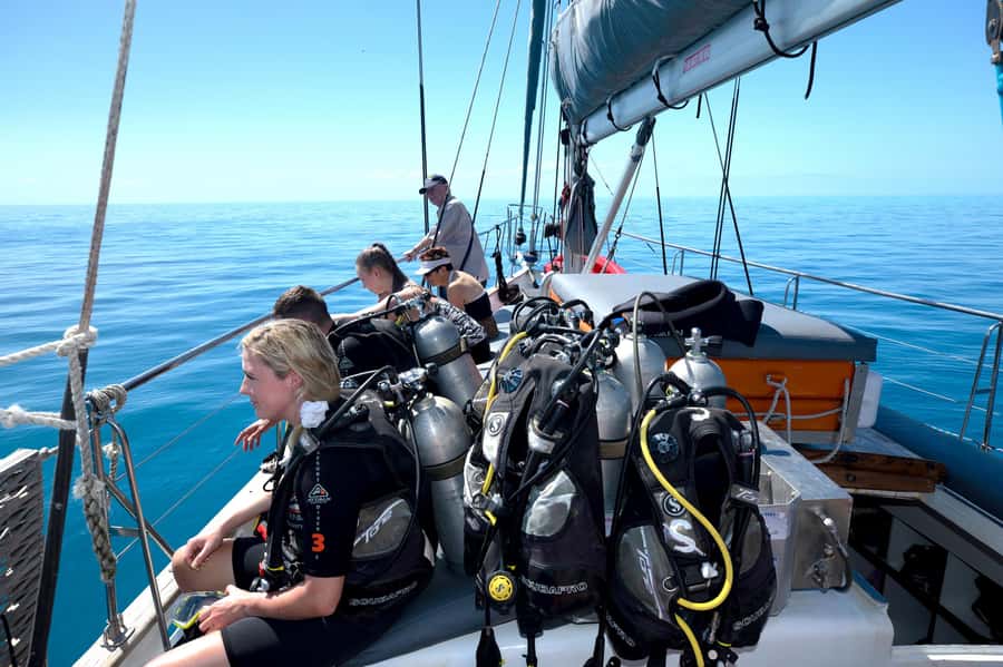 Cairns: Green Island & Great Barrier Reef Sailing Tour - How the price compares with the experience