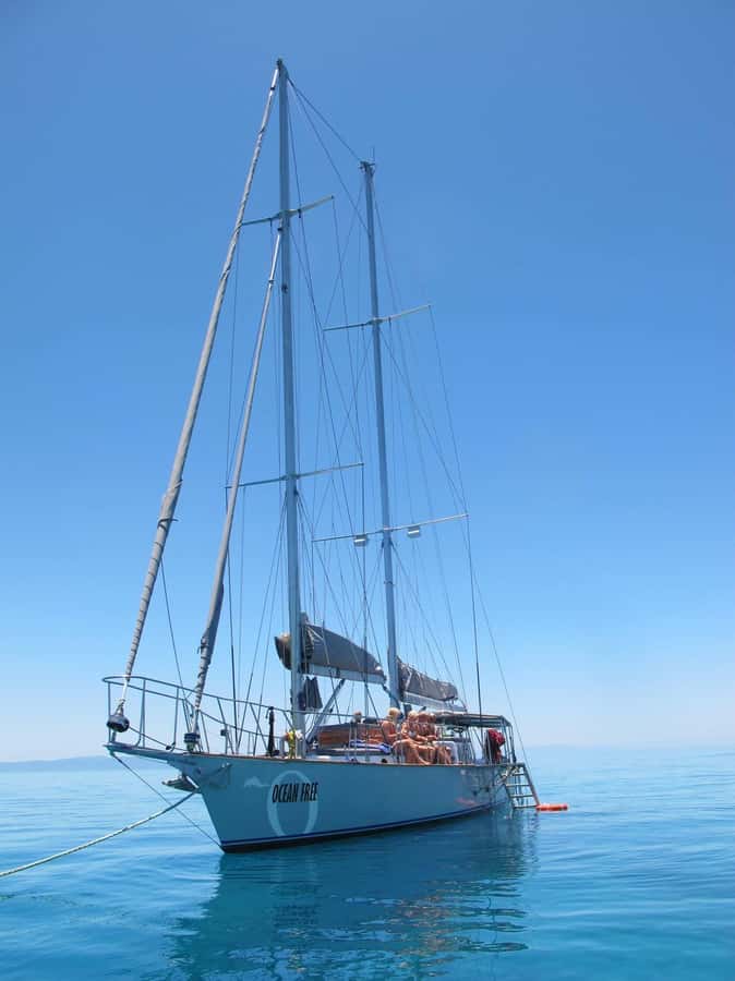 Cairns: Green Island & Great Barrier Reef Sailing Tour - Who will enjoy this Cairns boat trip?