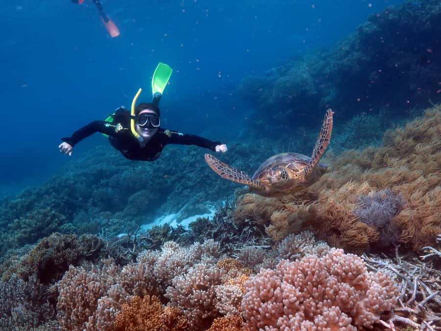 Cairns: Green Island + Moore Reef Activity Platform Combo - Semi-submarine views for a dry reef experience