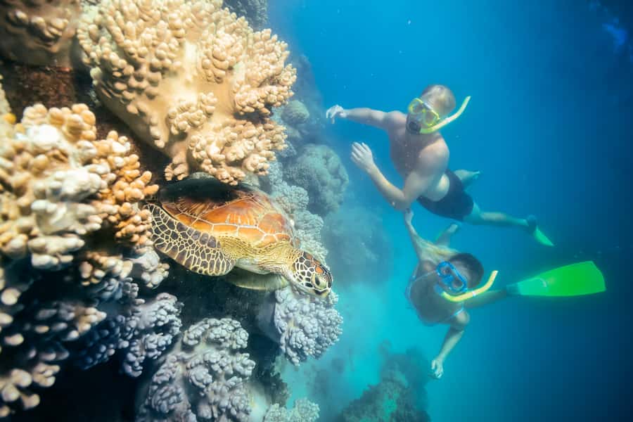 Cairns: Green Island Snorkelling or Glass Bottom Boat - The short ride from Cairns to Green Island