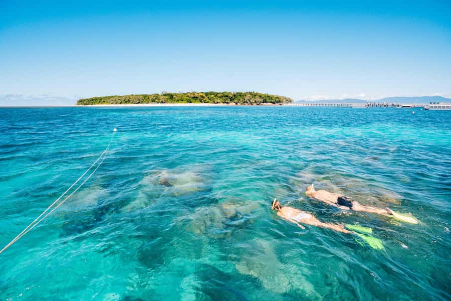 Cairns: Green Island Snorkelling or Glass Bottom Boat - Making the most of your time on the island