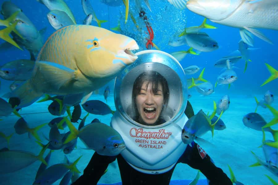 Cairns: Green Island Snorkelling or Glass Bottom Boat - What the reef is really like here