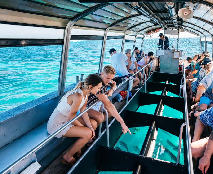 Cairns: Green Island Snorkelling or Glass Bottom Boat - Choosing between shore snorkeling and the glass bottom boat