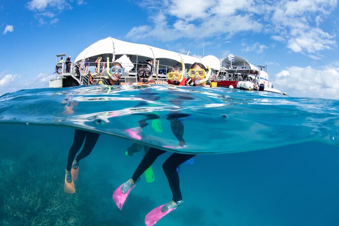 Cairns Half Day Tour a Great Barrier Reef Snorkeling Experience - The crew makes the biggest difference