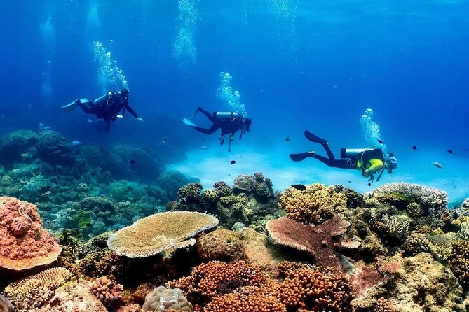 Cairns Half Day Tour a Great Barrier Reef Snorkeling Experience - How weather can change the reef experience