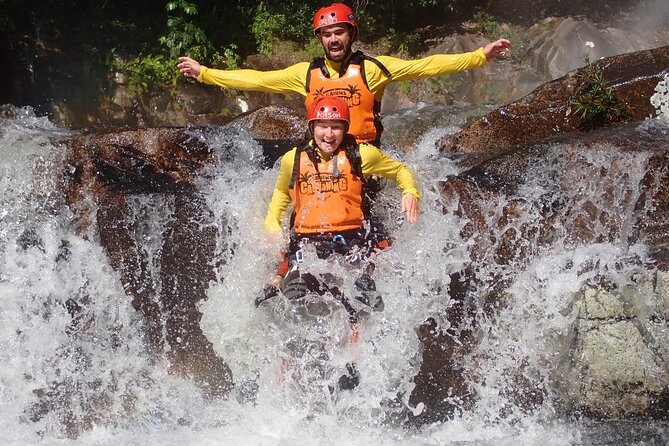 Cairns Half Day Tour a Great Barrier Reef Snorkeling Experience - Who should book this Cairns reef tour