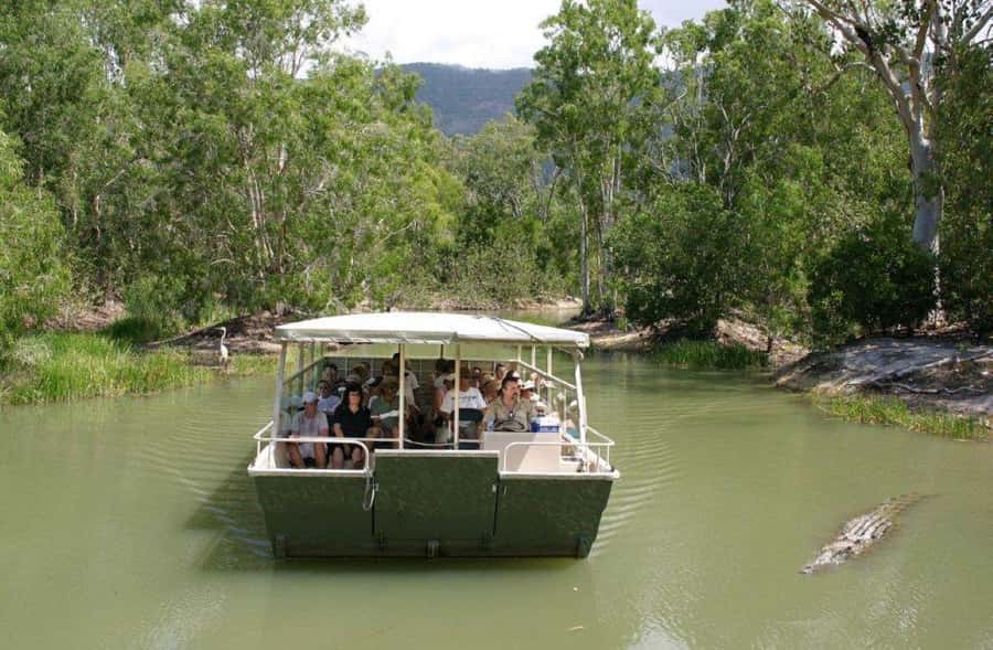 Cairns: Hartley's Crocodile Adventures Visit with Transfer - What the $88 experience actually includes