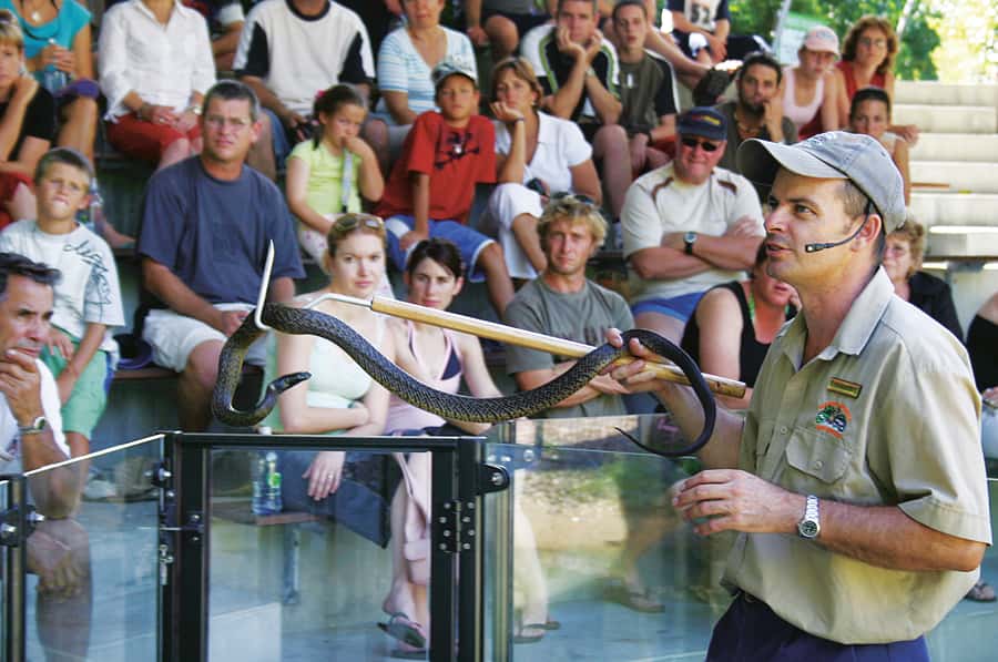 Cairns: Hartley's Crocodile Adventures Visit with Transfer - First look at Hartley’s woodlands and rainforest paths