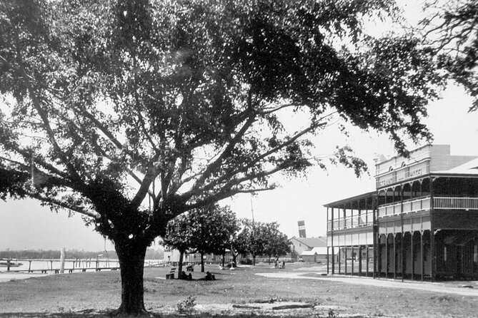Cairns History Walking Tour - Early government at the Mulgrave Shire building