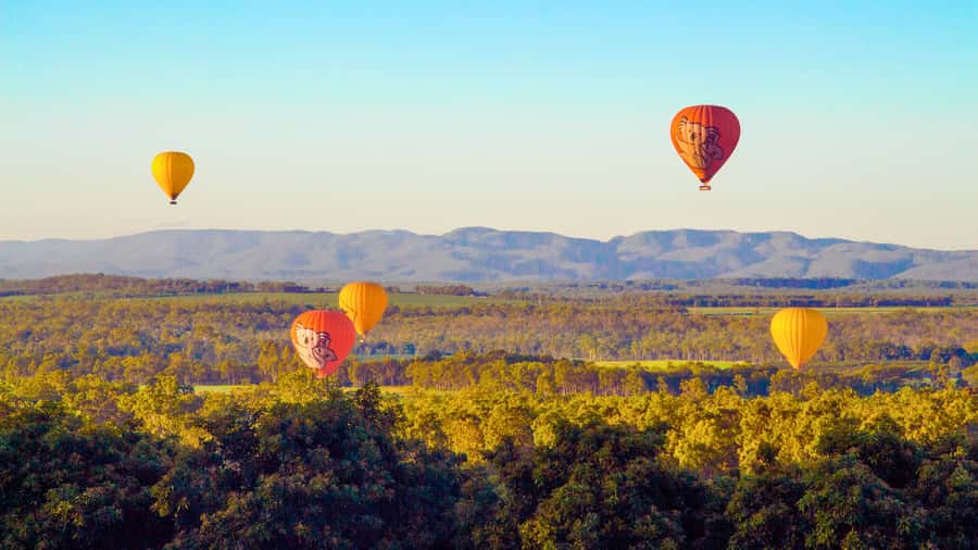 Cairns: Hot Air Balloon Flight with Transfers - How this compares with a basic balloon ride