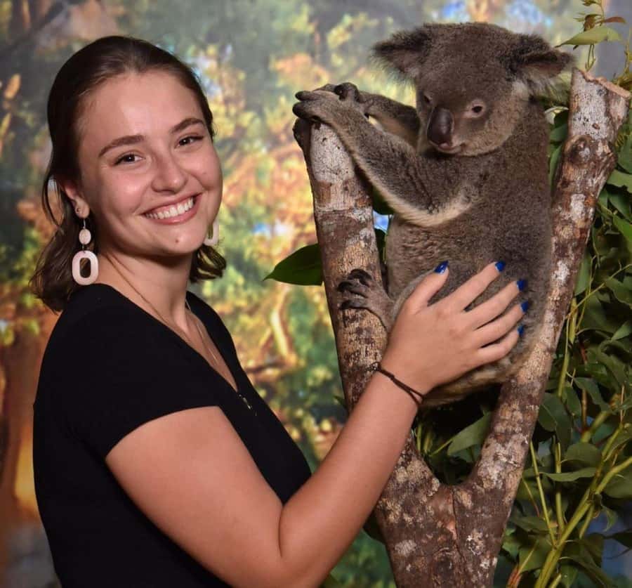 Cairns Koalas and Creatures Entry Ticket with Koala Photo - Entering Cairns Koalas and Creatures