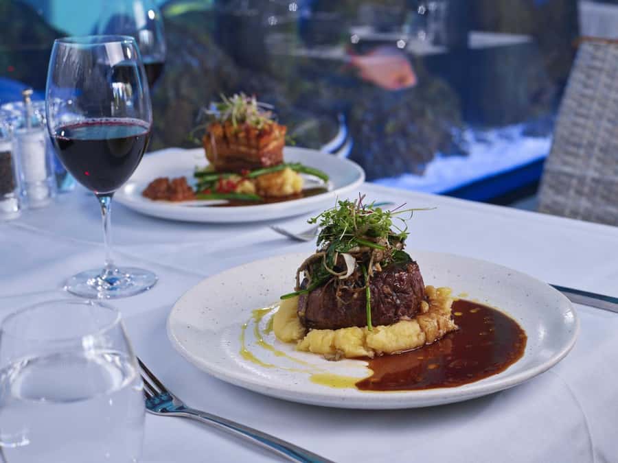 Cairns: Night at the Aquarium Guided Tour & 2 Course Dinner - The 1.5-hour route through ten tropical ecosystems