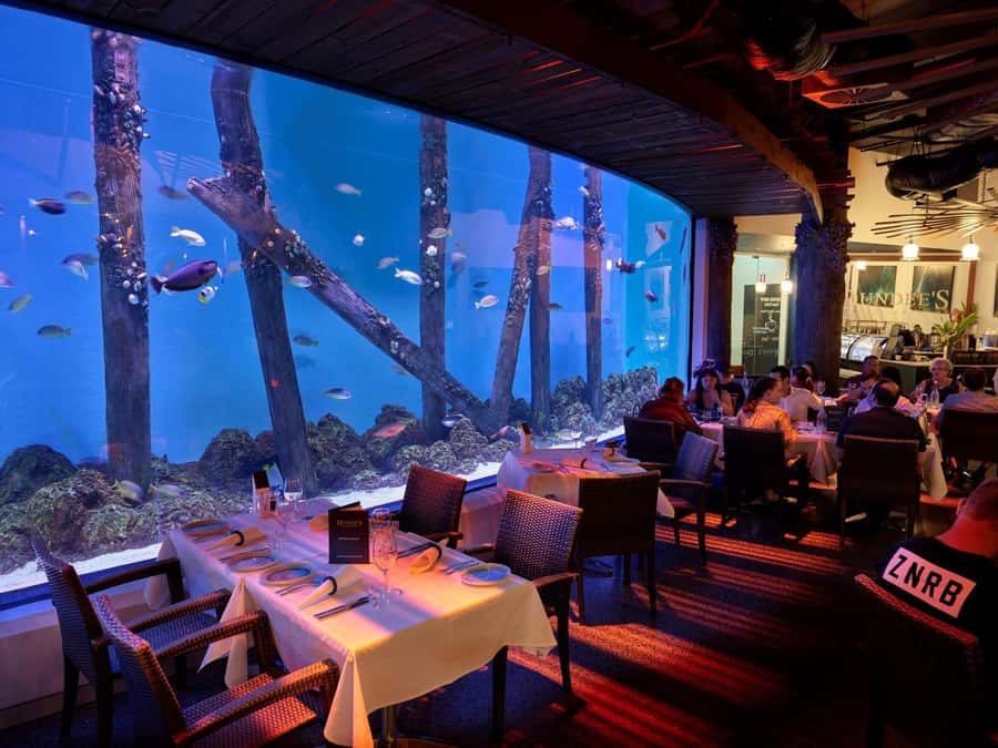 Cairns: Night at the Aquarium Guided Tour - Following the 10-ecosystem route
