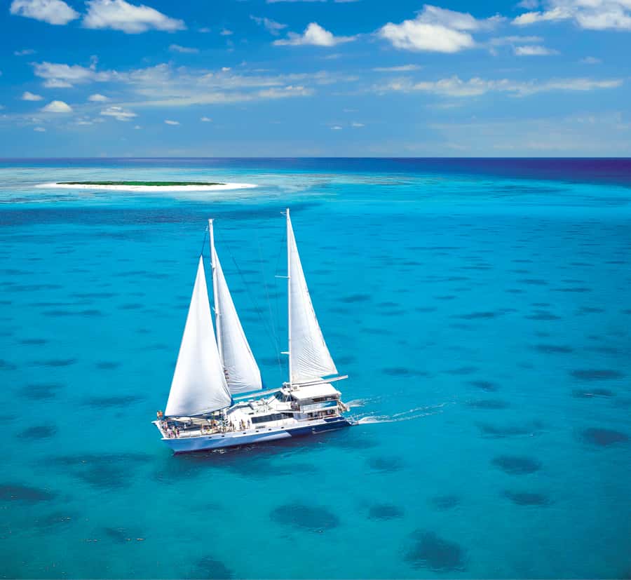 Cairns: Ocean Spirit Great Barrier Reef Full Day Tour - Key points at a glance