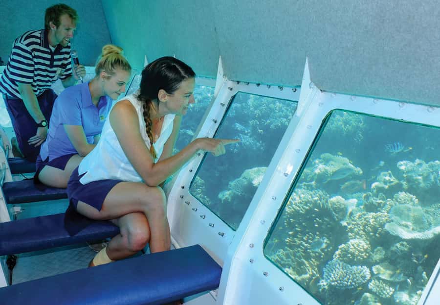 Cairns: Ocean Spirit Great Barrier Reef Full Day Tour - Who will get the most from this reef tour?