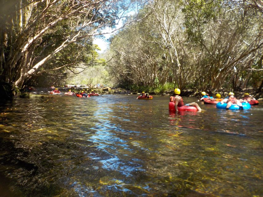 Cairns or Northern Beaches: Rainforest River Tubing - Morning or afternoon pickup?
