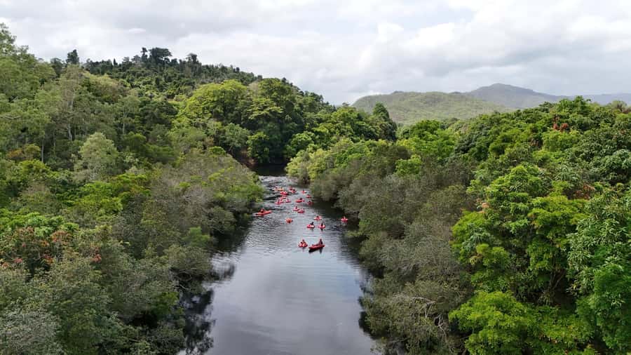 Cairns or Northern Beaches: Rainforest River Tubing - Small rapids that keep the float interesting
