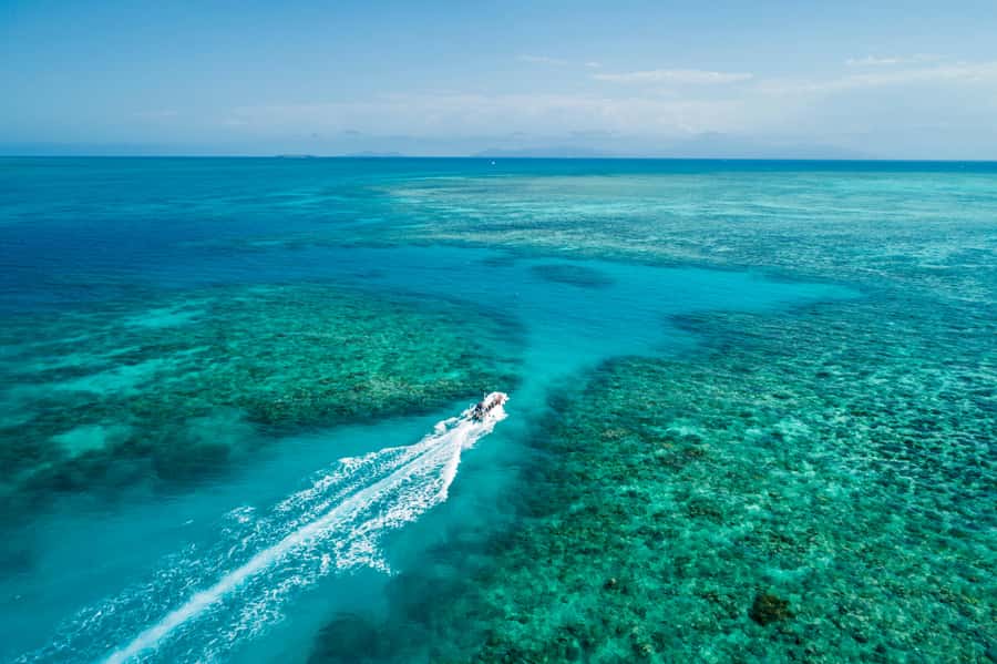 Cairns: Outer and Coral Cay Snorkel and Dive Cruise - Key points to know before booking