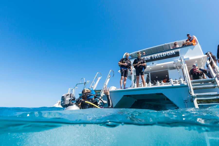 Cairns: Outer and Coral Cay Snorkel and Dive Cruise - Snorkeling, scuba, and the glass-bottom option
