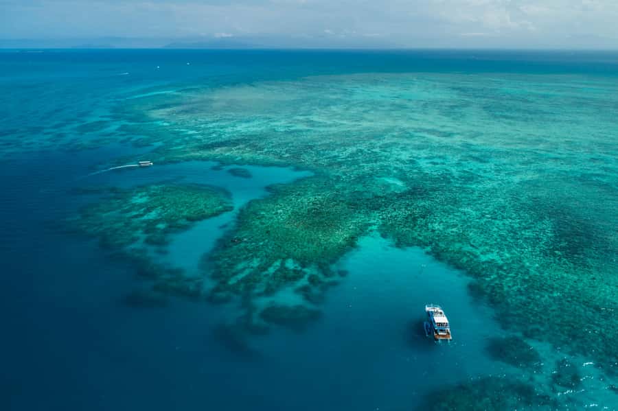 Cairns: Outer and Coral Cay Snorkel and Dive Cruise - What the boat day feels like