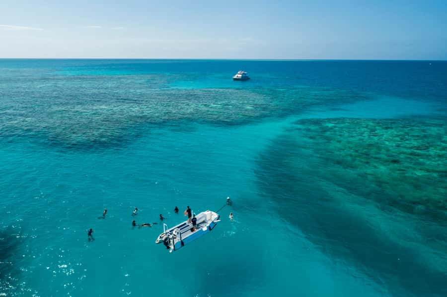 Cairns: Outer and Coral Cay Snorkel and Dive Cruise - Wonder Wall, the first reef stop